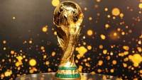 Кубок FIFA приедет в Саратов в первых числах ноябя
