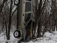 Под Вольском автомобиль застрял на дереве