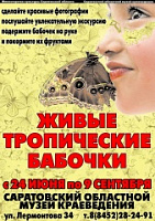 В Саратове открылась выставка живых тропических бабочек