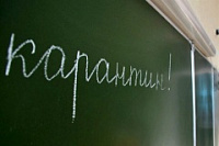 Саратовские родители собирают подписи за продление карантина в школах