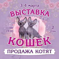 В Саратове пройдет Международная выставка кошек